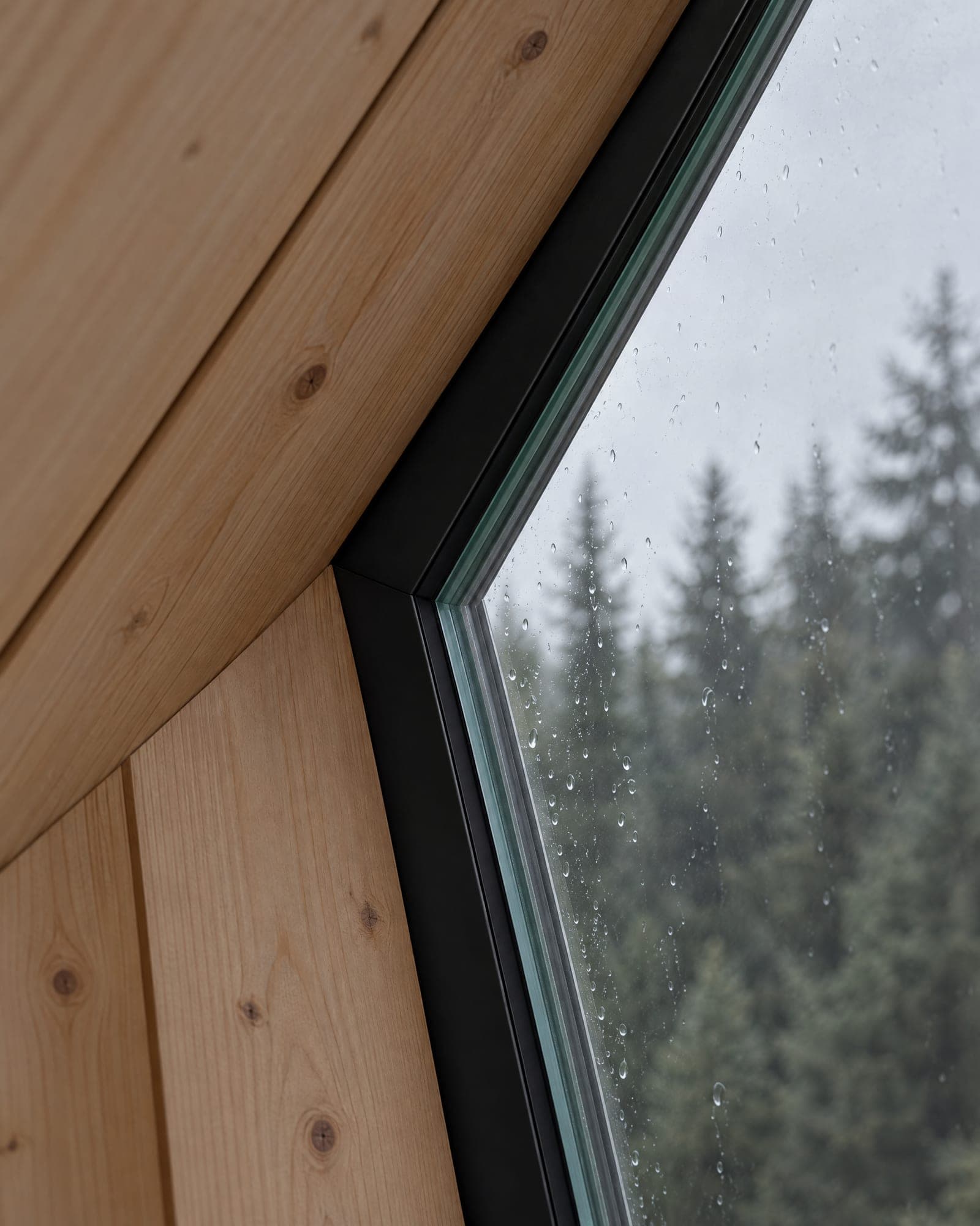 A slim black window frame meeting a pale larch reveal at a sharp angle, forest out of focus through the glass