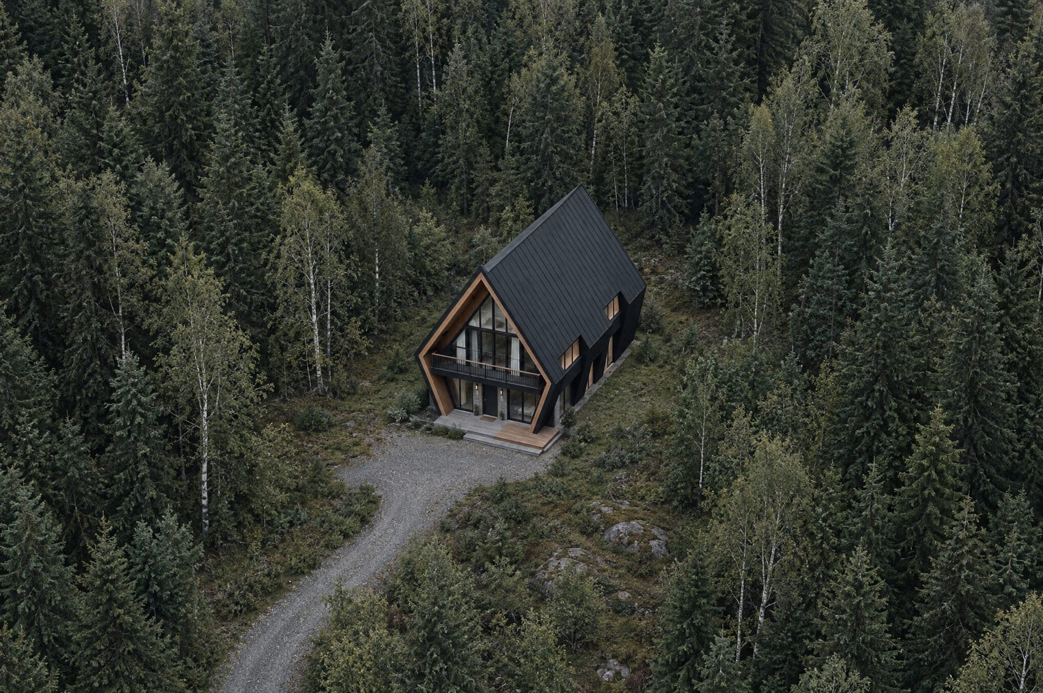 Aerial view of The Two in a forest clearing, the long black roof reading as a clean dark shape